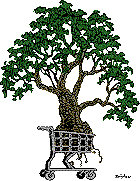 magnolia cree in a shopping cart