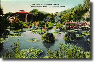  The Tea Garden 