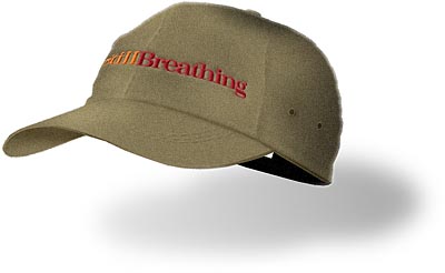  SB Baseball Cap 