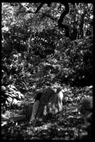  Fletcher, building a cairn... 